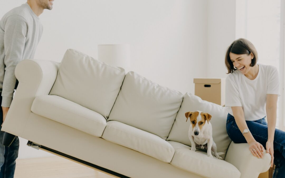 Una pareja feliz lleva un moderno sofá blanco con un perro juntos, coloca muebles en la sala de estar, se preocupa por mejorar el diseño interior, comienza a vivir en un nuevo hogar, posa en un apartamento moderno, se divierte